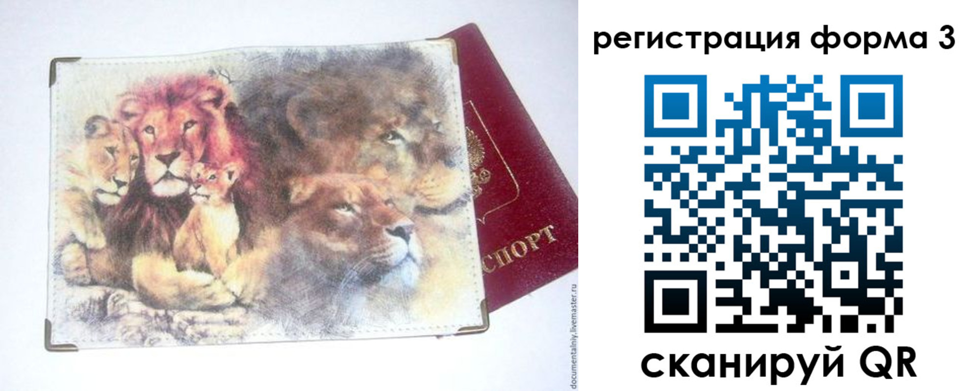 прописка в квартире в Новом Осколе